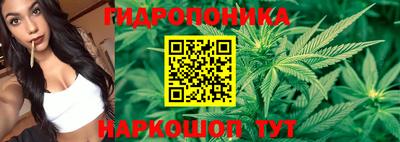 трава Будённовск