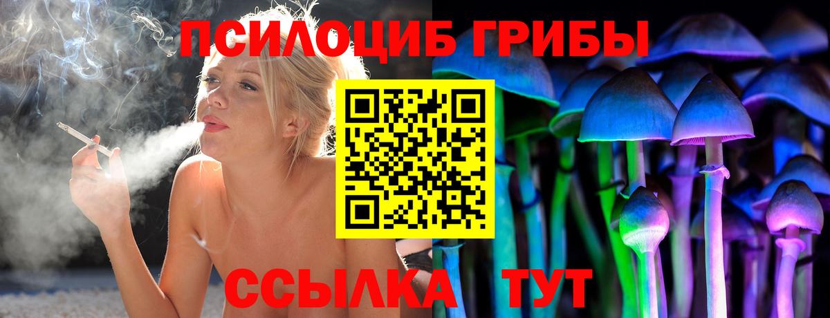 Псилоцибиновые грибы Psilocybe Арзамас