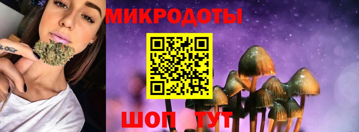 Арзамас  цена   Вход с VPN  Галлюциногенные грибы Psilocybe 